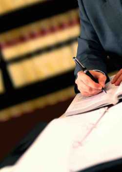  law websites