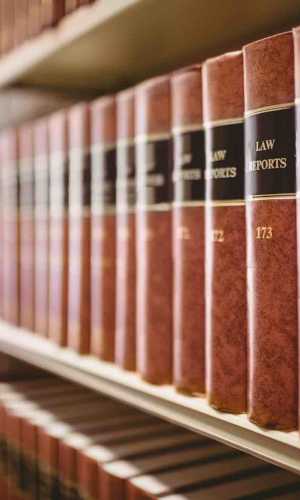 Seo Power Law Websites law websites