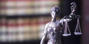  law websites